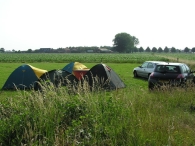 Zeldzaam in Nispen