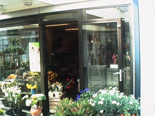 Van Bemmel Bloemen