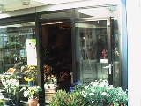 Van Bemmel Bloemen