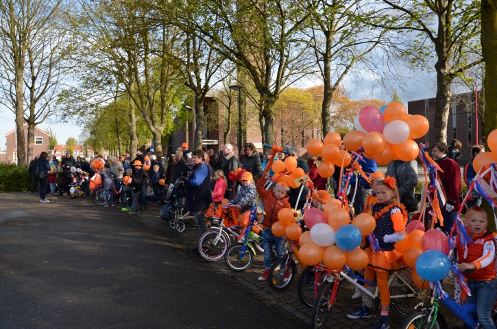 Programma Koningsdag 2019