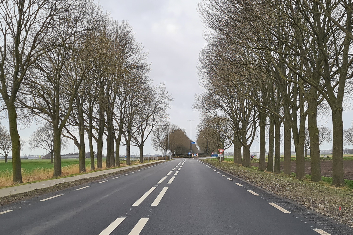 Kap zieke bomen Swifterweg later van start