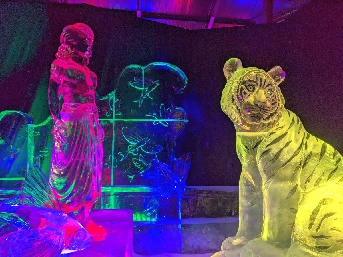 Nijntje krijgt twee Diamanten Boeken op IJsbeelden Festival