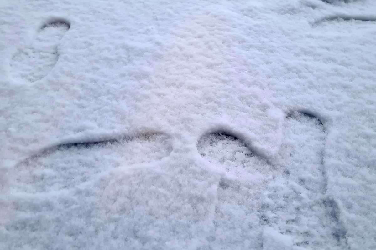 Ook vandaag geen busvervoer tot minimaal 12.00 uur