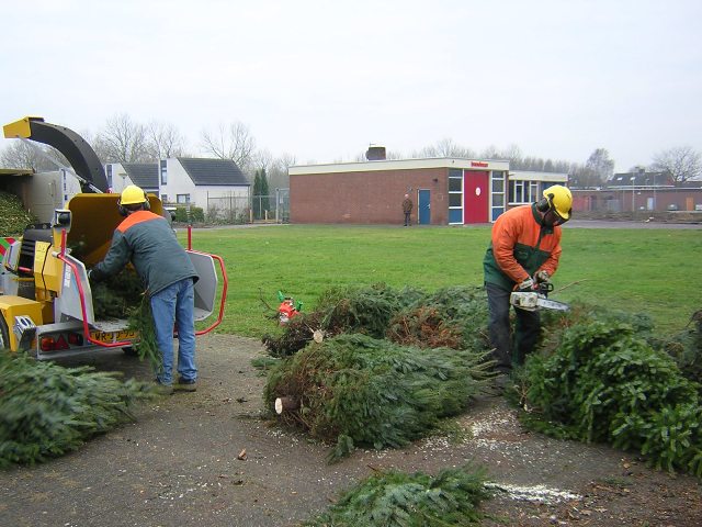 Morgen alsnog kerstbomen inleveren voor 50 cent