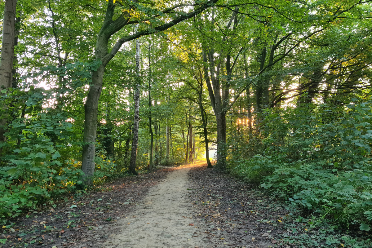 Driedorpenloop op 28 februari in Biddinghuizen