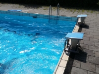 Zwemfeest voor basisschoolkinderen in zwembad De Alk