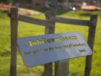 Ab Strijker vertelt senioren over bomen