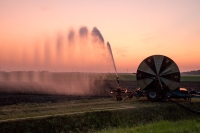 Agrariërs mogen percelen weer onder water zetten