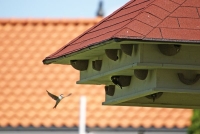 Winnaars fotowedstrijd november en december