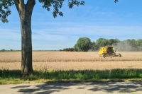 Minder oogst verwacht na droge zomer