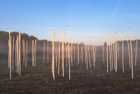 Kunstproject ‘Scheepskerkhof op het droge’ gerealiseerd bij Flevo Nice