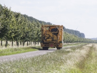 Van der Wijngaard en De Kandelaar te zien in Polder Parels