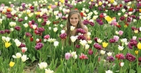 Internationale aandacht: Tulip Fields & Flevo FunFields
