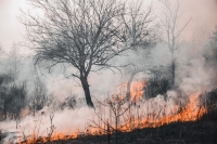Brandweer verhoogt risico op natuurbrand in Flevoland