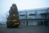 Kerstbomen Biddinghuizen centrum staan weer