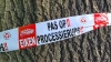 Meeste eikenprocessievlinders in Flevoland, aantal wel afgenomen