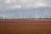 Windpark Oldebroekertocht stopt zes turbines