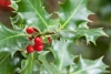 Geslaagde kerstpakkettenactie
