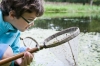 Op zoek naar de watertijger in het Ontdekbos