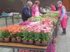 Plantenmarkt en goederenmarkt