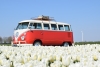 Zorgeloos genieten van Tulpenroute