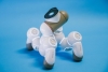Kinderen leren programmeren met robot Dash in bibliotheek