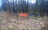 Wildraster langs Bremerbergweg in aanleg