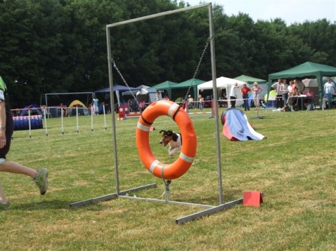 Agility Club Flevoland van start