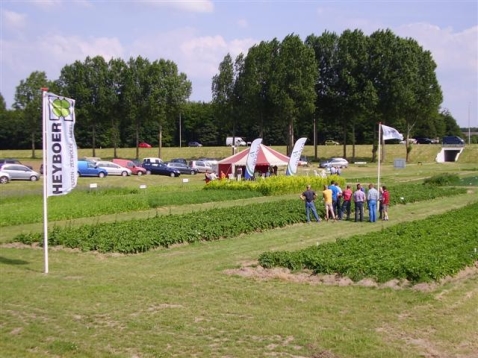 Gratis aardappelen, uien en wortelen bij Heyboer BV