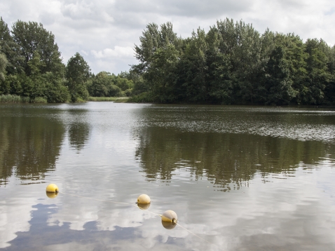 Zwemwater Biddinghuizen vooralsnog in orde