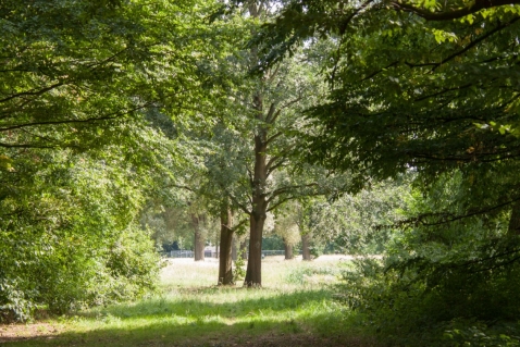 Natuurorganisaties lanceren visie op natuurinclusieve toekomst Flevoland