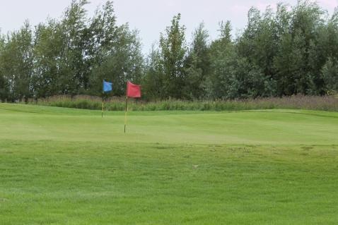 Dorhout Mees heeft plannen voor zonnepark