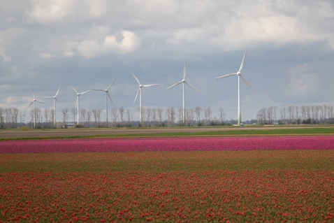 Windpark Oldebroekertocht stopt zes turbines