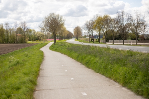 Nieuwe bomen langs Oldebroekerweg en de Gooiseweg