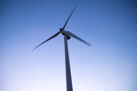 Open Dag Windplan Groen