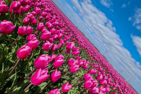 Visit Flevoland start nieuwe reclamecampagne Flevoland