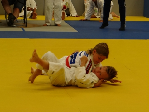 BAS Budo start nieuwe serie proeflessen kleuterjudo