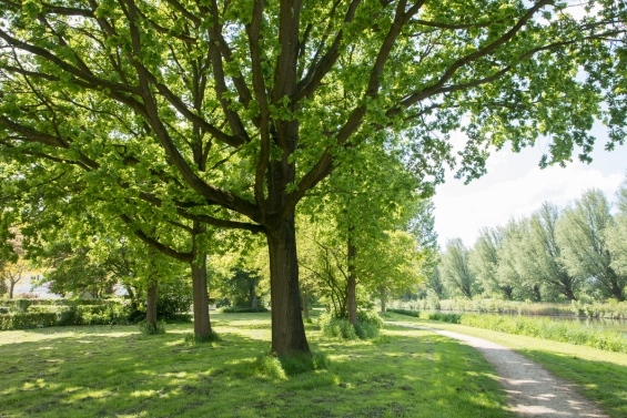 75 jaar Zonnebloem jubileumwandeling Walk ’n Roll 75 jaar Zonnebloem jubileumwandeling Walk ’n Roll