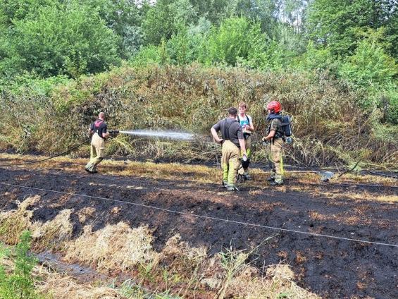 Bermbrand Bremerbergdijk snel onder controle dankzij alerte passant Bermbrand Bremerbergdijk snel onder controle dankzij alerte passant