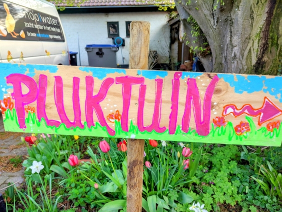 Zomertuin Hanneke's Pluktuin opent vandaag