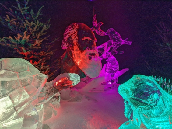 IJsbeelden Festival trekt 110.000 bezoekers IJsbeelden Festival trekt 110.000 bezoekers