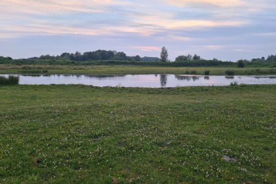 Natuurwandeling langs de Strandgaperbeek