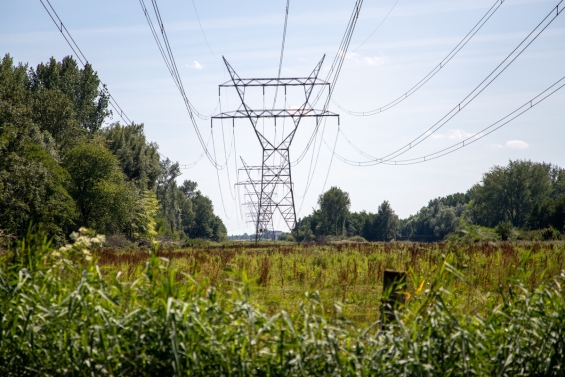 Elektriciteitsnetwerk Flevoland vol Elektriciteitsnetwerk Flevoland vol