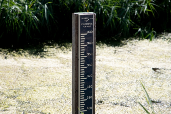 Zuiderzeeland pompt water naar Veluwemeer
