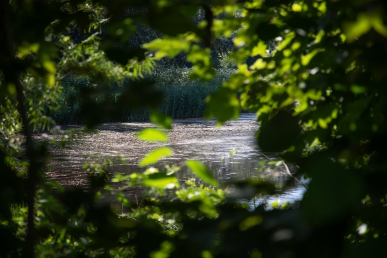 Twee IVN-wandelingen in Biddinghuizen