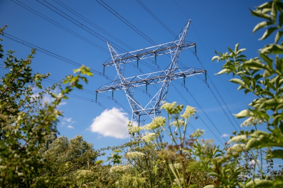 Vanaf 2030 weer enige ruimte op stroomnet in Flevopolder