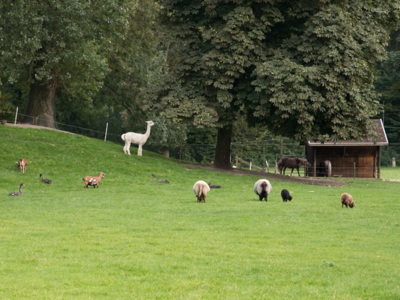 Lichtjesrun voor kinderen in Dorpsbos Biddinghuizen