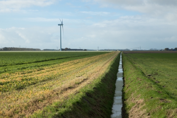 Waterschap geeft meer tijd voor onderhoud schouwsloten Waterschap geeft meer tijd voor onderhoud schouwsloten