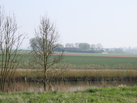 Meer dan  200 ideeën voor het Flevolandse platteland van morgen