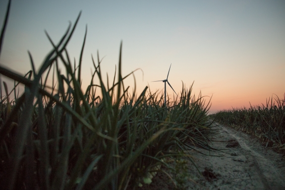Flevolandse agrariërs bespreken toekomst van voedselproductie Flevolandse agrariërs bespreken toekomst van voedselproductie